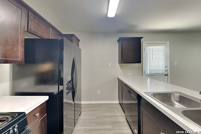 8506 Amistad Cove Property Photo 4