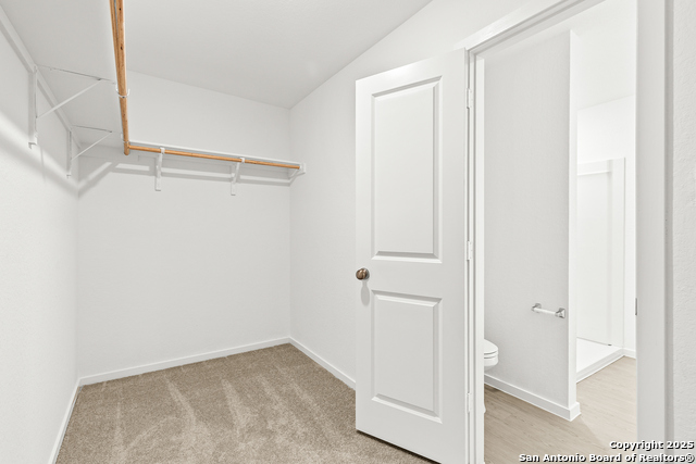 5206 Morgan Crst Property Photo 15