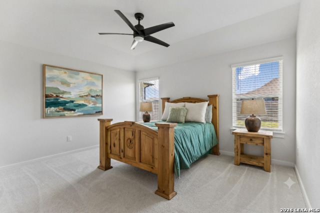 109 Netherland St Property Photo 7