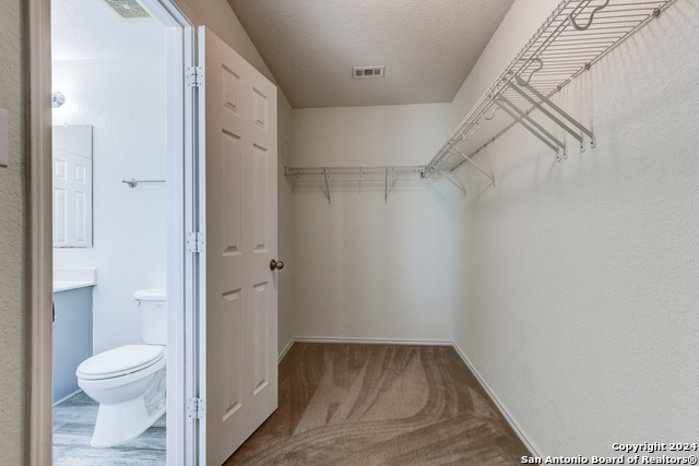 107 Palma Noce Property Photo 22