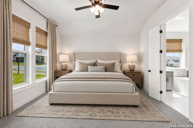 214 Fandango Property Photo 5