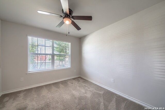 13210 Cadenza Crk Property Photo 23