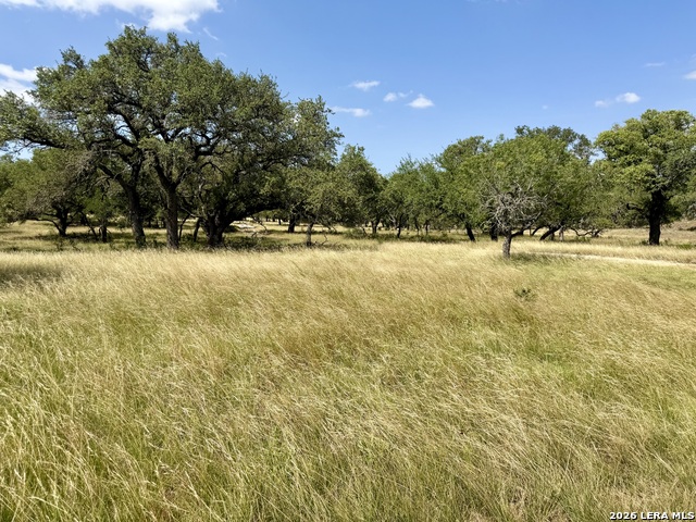 43 Acres Sattler Rd. Property Photo 1