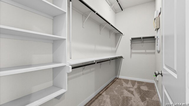 12811 Arya Way Property Photo 22