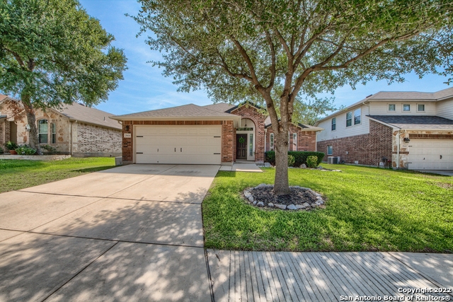 25614 Texas Ash Property Photo 4