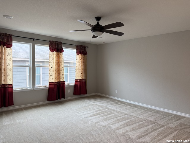 15114 Sirius Circle Property Photo 21