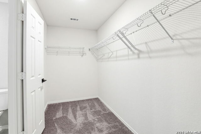 3146 Wild Iris Property Photo 20