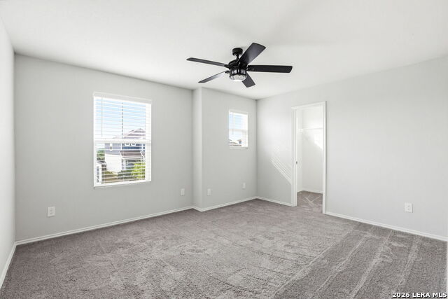 3146 Wild Iris Property Photo 21