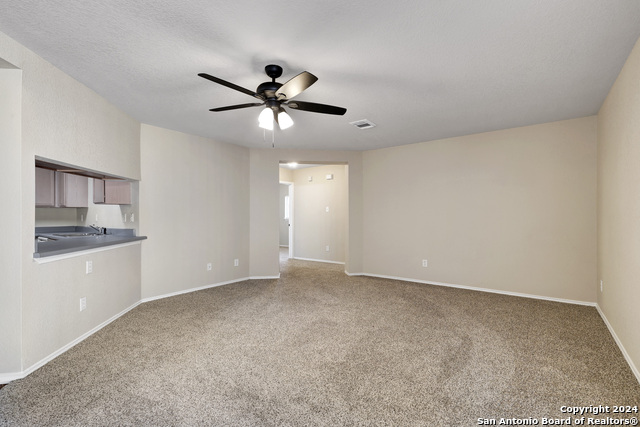 10331 Manor Crk Property Photo 14