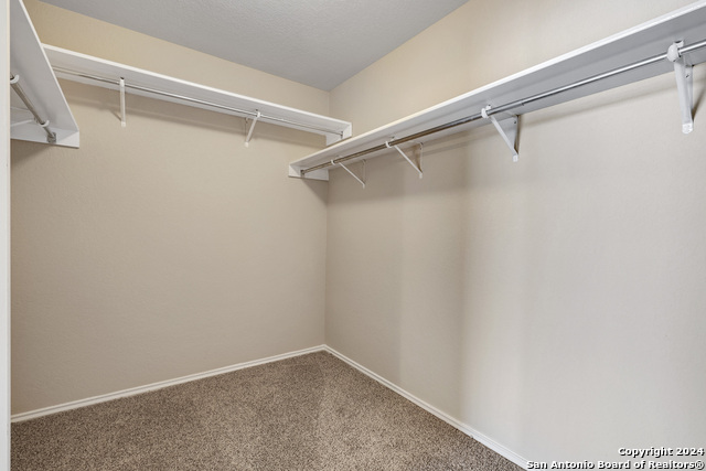 10331 Manor Crk Property Photo 21