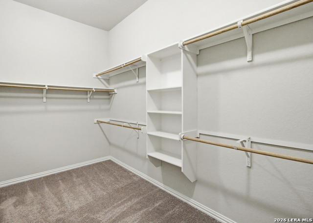 253 Holland Park Property Photo 22