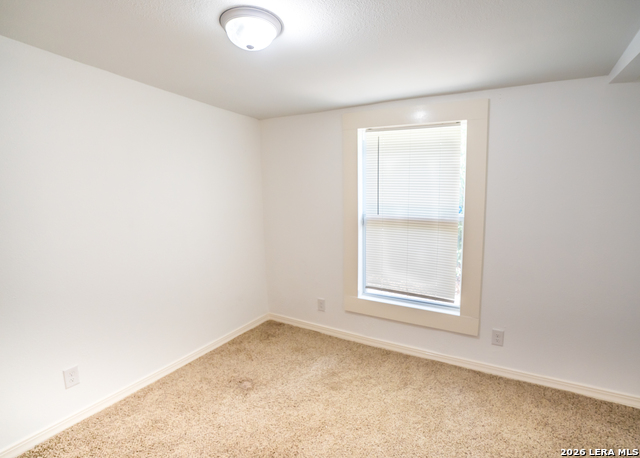 228 Odell Property Photo 22