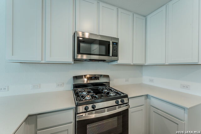10839 Bernal Cove Property Photo 12