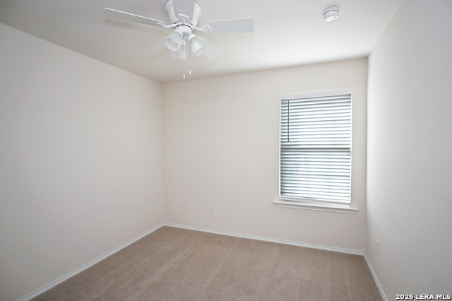 138 Buttercup Bnd Property Photo 19