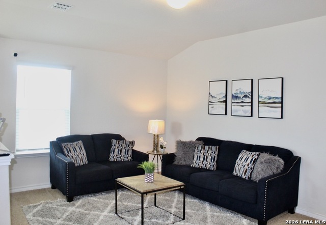 956 Brown Thrasher Property Photo 12