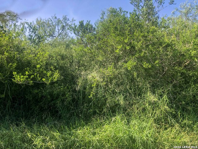 000 Cr 619 Property Photo 1
