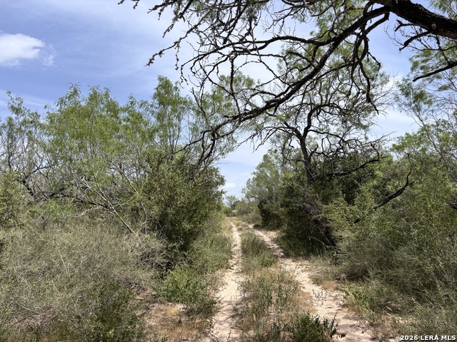 0 Hwy 359 Property Photo 18