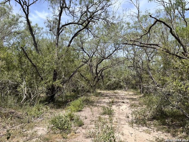 0 Hwy 359 Property Photo 36