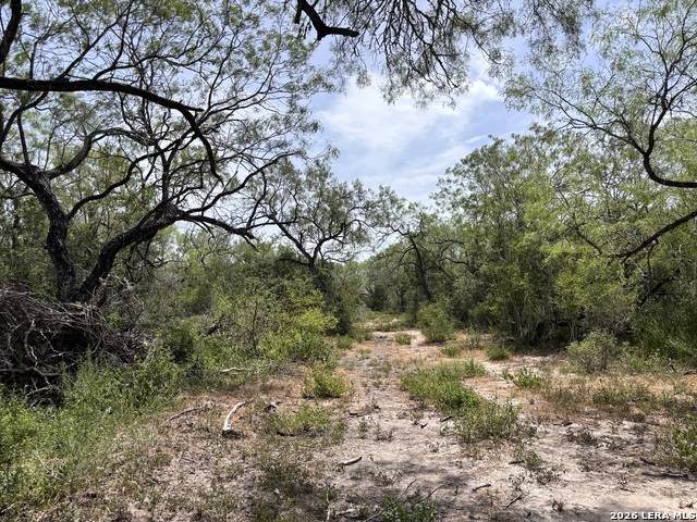 0 Hwy 359 Property Photo 44