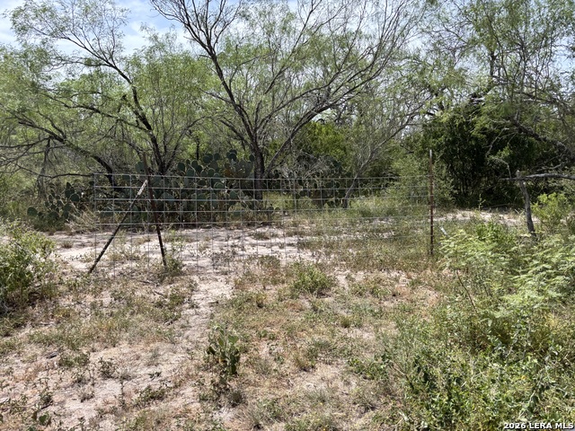 0 Hwy 359 Property Photo 45