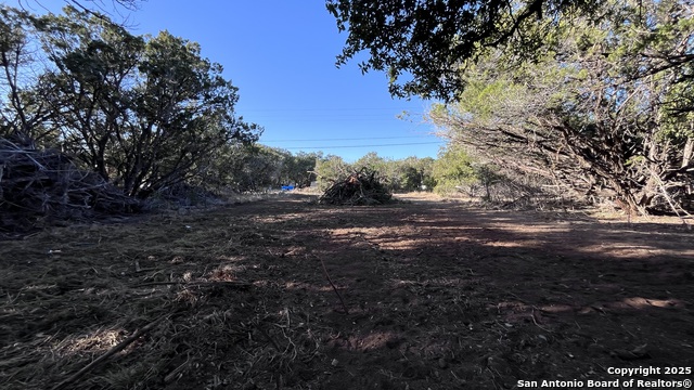 392 Matt Dillon Dr Property Photo 4