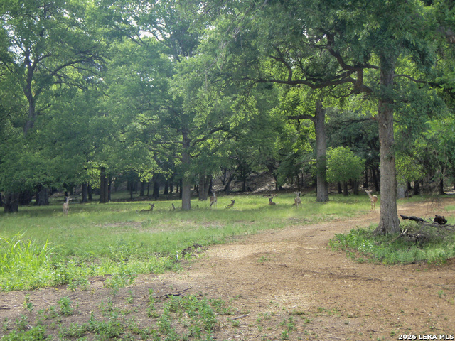 1613 Bella Property Photo 26