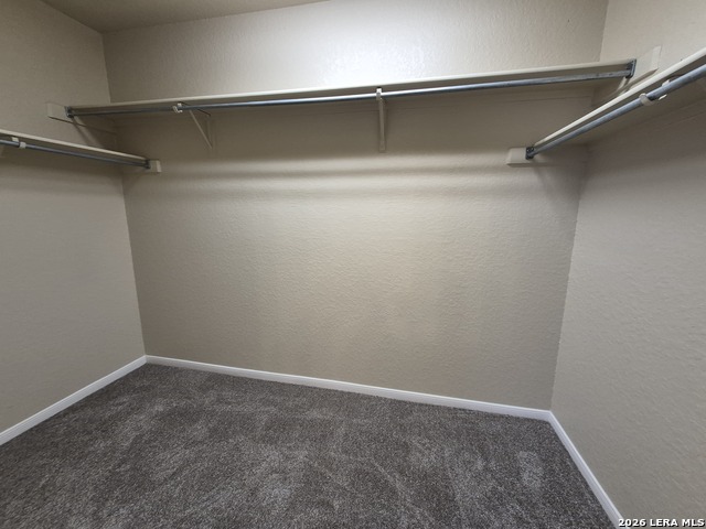 21215 Encino Ash Property Photo 16