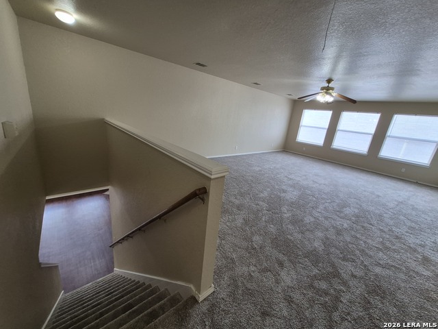 21215 Encino Ash Property Photo 19