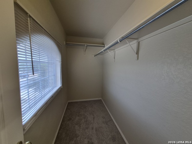 21215 Encino Ash Property Photo 28