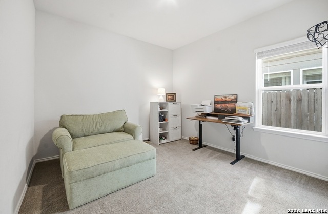 4819 Vogesite Path Property Photo 4