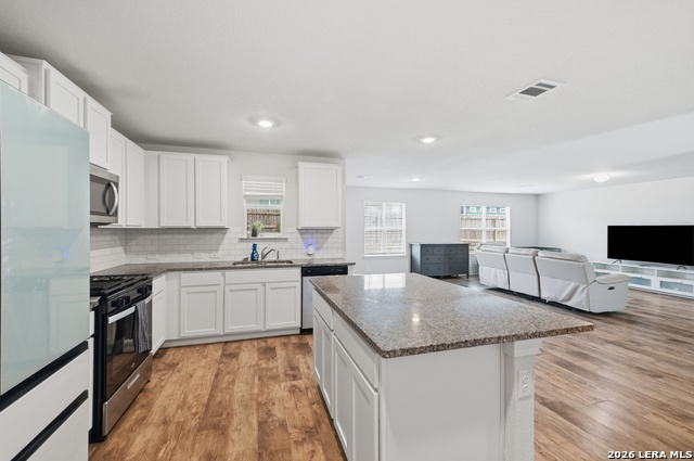 13106 Minuet Sway Property Photo 7