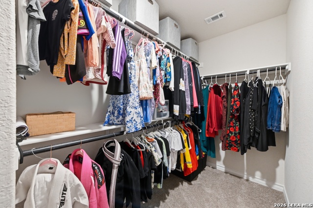 13106 Minuet Sway Property Photo 18