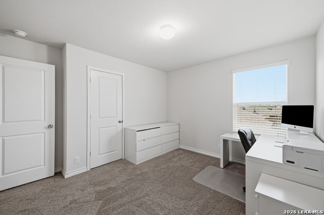 13106 Minuet Sway Property Photo 21