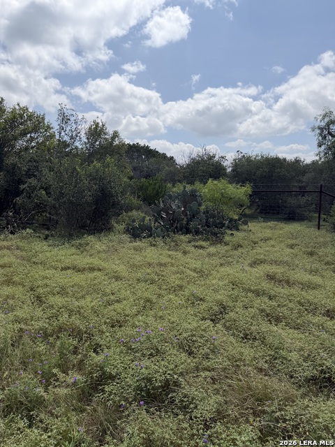000 Medina Property Photo 10