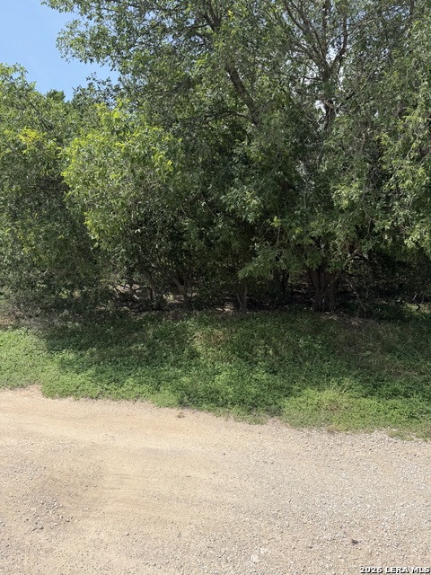 000 Medina Property Photo 13