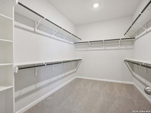 12703 Patras Point Property Photo 14