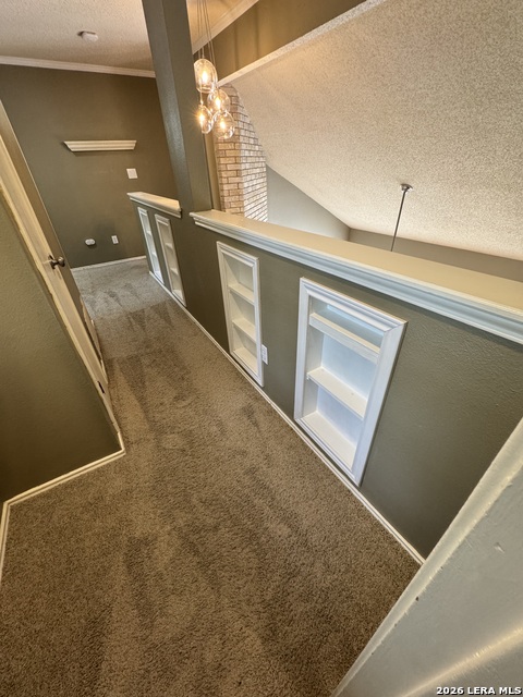 13815 Stone Hollow Dr Property Photo 16