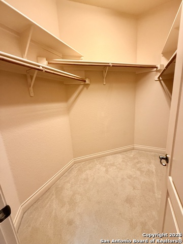 215 Evans Oak Property Photo 26