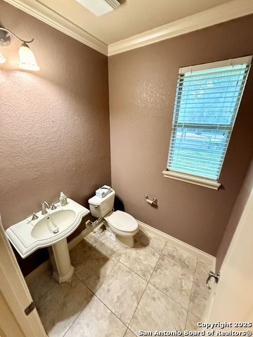 215 Evans Oak Property Photo 36