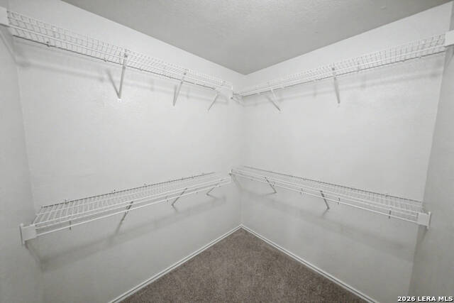 5011 Braden Gate Property Photo 26