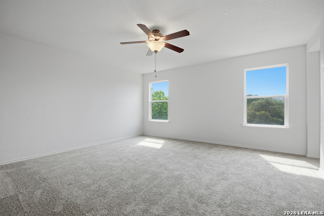 1203 Prairie Grass Property Photo 32