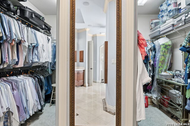 4 Cobham Property Photo 29