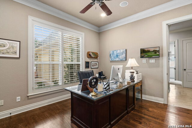 4 Cobham Property Photo 31