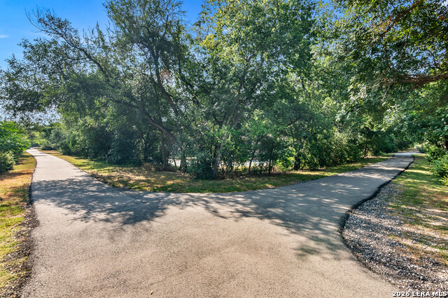 4 Cobham Property Photo 64