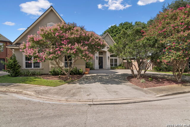 4 Cobham Property Photo 66