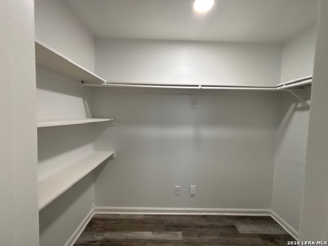 8811 Pensive Property Photo 4