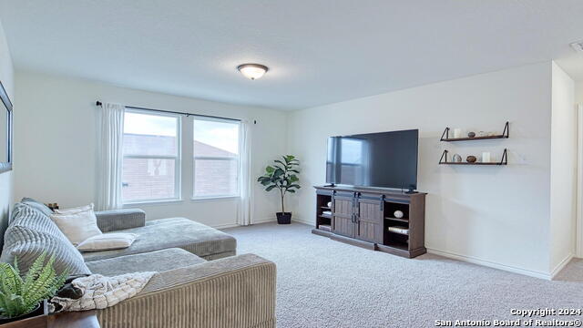 6510 Cibolo Spgs Property Photo 24