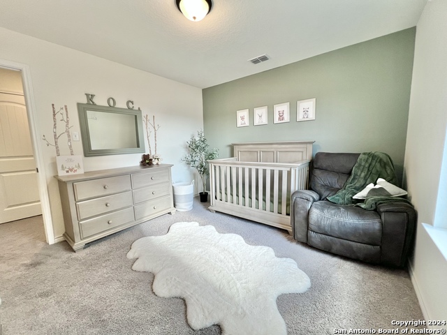 6510 Cibolo Spgs Property Photo 30