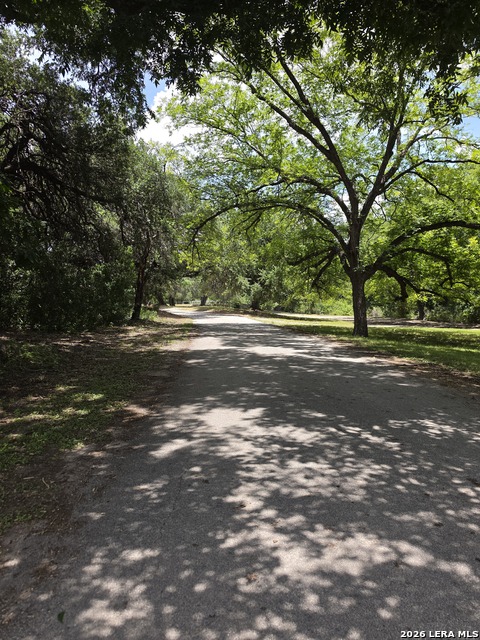 10 Paine Property Photo 17