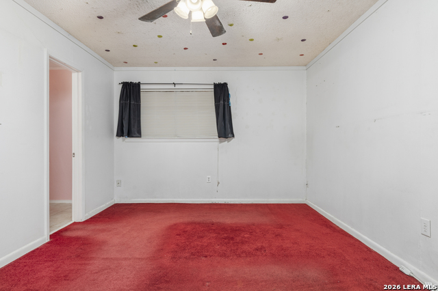517 Uhland Rd Property Photo 15